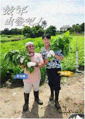 厨房里的哲学家 综艺在线观看
